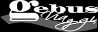 Gebus Viaggi